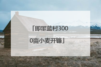 即墨蓝村3000亩小麦开镰
