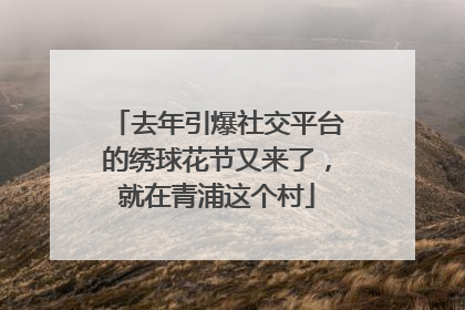 去年引爆社交平台的绣球花节又来了，就在青浦这个村