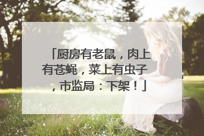 厨房有老鼠，肉上有苍蝇，菜上有虫子，市监局：下架！