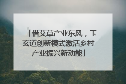 借艾草产业东风，玉玄道创新模式激活乡村产业振兴新动能