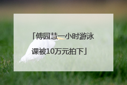傅园慧一小时游泳课被10万元拍下