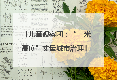 儿童观察团：“一米高度”丈量城市治理