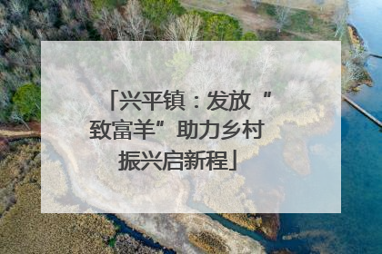 兴平镇：发放“致富羊”助力乡村振兴启新程