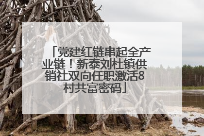 党建红链串起全产业链！新泰刘杜镇供销社双向任职激活8村共富密码