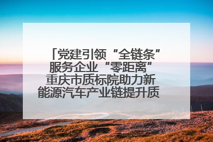 党建引领“全链条” 服务企业“零距离” 重庆市质标院助力新能源汽车产业链提升质量管理水平