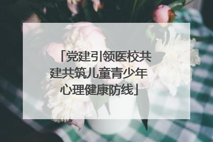 党建引领医校共建共筑儿童青少年心理健康防线