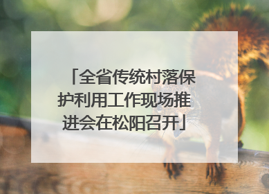 全省传统村落保护利用工作现场推进会在松阳召开