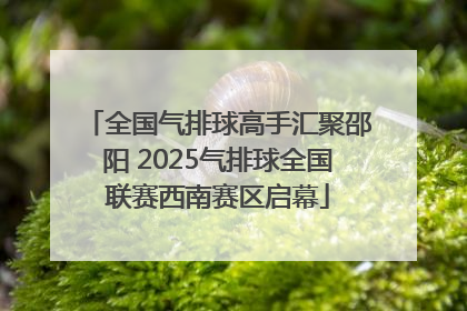 全国气排球高手汇聚邵阳 2025气排球全国联赛西南赛区启幕