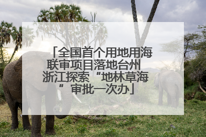 全国首个用地用海联审项目落地台州 浙江探索“地林草海”审批一次办