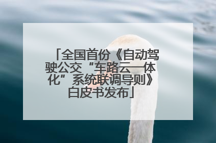 全国首份《自动驾驶公交“车路云一体化”系统联调导则》白皮书发布
