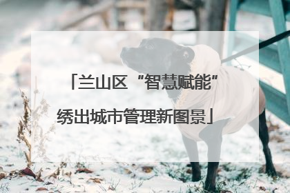 兰山区“智慧赋能”绣出城市管理新图景