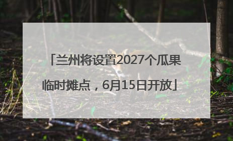 兰州将设置2027个瓜果临时摊点，6月15日开放