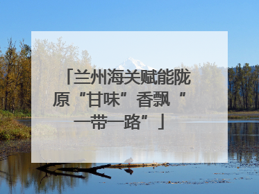 兰州海关赋能陇原“甘味”香飘“一带一路”