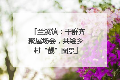 兰溪镇：干群齐聚屋场会，共绘乡村“靓”图景