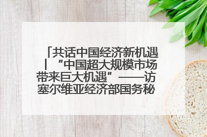 共话中国经济新机遇丨“中国超大规模市场带来巨大机遇”——访塞尔维亚经济部国务秘书尼科利奇