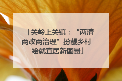 关岭上关镇：“两清两改两治理”扮靓乡村 绘就宜居新图景