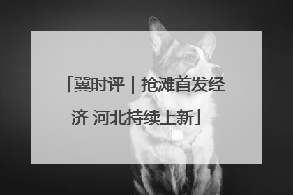 冀时评｜抢滩首发经济 河北持续上新