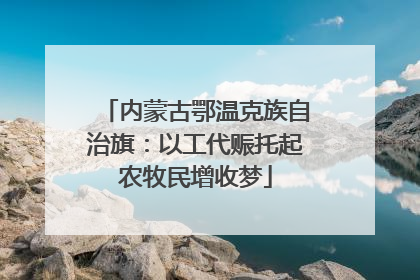 内蒙古鄂温克族自治旗：以工代赈托起农牧民增收梦