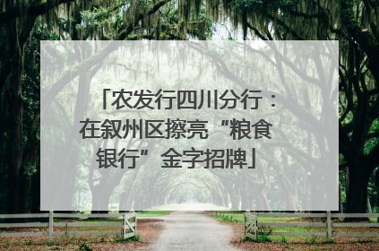 农发行四川分行：在叙州区擦亮“粮食银行”金字招牌