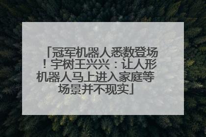 冠军机器人悉数登场！宇树王兴兴：让人形机器人马上进入家庭等场景并不现实