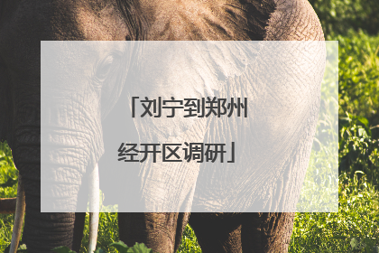 刘宁到郑州经开区调研
