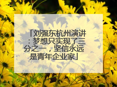 刘强东杭州演讲：梦想只实现了三分之一，坚信永远是青年企业家