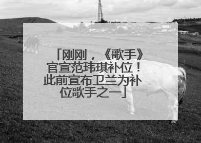 刚刚，《歌手》官宣范玮琪补位！此前宣布卫兰为补位歌手之一