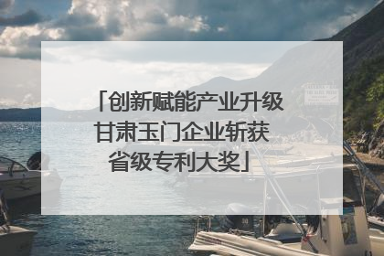 创新赋能产业升级 甘肃玉门企业斩获省级专利大奖