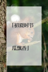 初夏时节瓜飘香