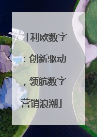 利欧数字：创新驱动，领航数字营销浪潮