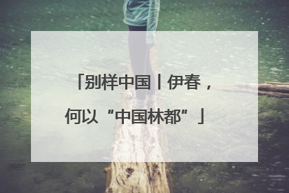 别样中国丨伊春，何以“中国林都”