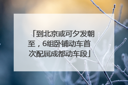 到北京或可夕发朝至，6组卧铺动车首次配属成都动车段
