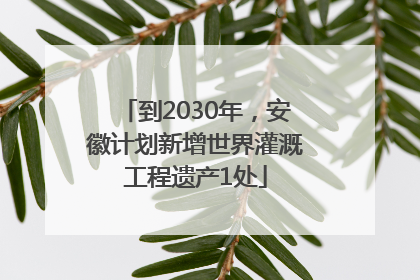 到2030年，安徽计划新增世界灌溉工程遗产1处
