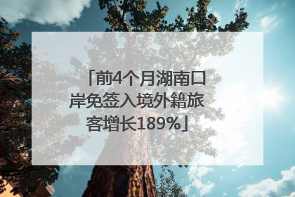 前4个月湖南口岸免签入境外籍旅客增长189%