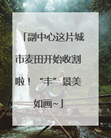 副中心这片城市麦田开始收割啦！“丰”景美如画~
