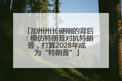加州州长硬刚的背后：模仿特朗普对抗特朗普，打算2028年成为“特朗普”