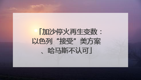 加沙停火再生变数：以色列“接受”美方案、哈马斯不认可