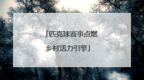匹克球赛事点燃乡村活力引擎