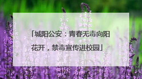 城阳公安：青春无毒向阳花开，禁毒宣传进校园
