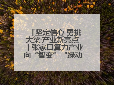 坚定信心 勇挑大梁·产业新亮点丨张家口算力产业向“智变”“绿动”跃升