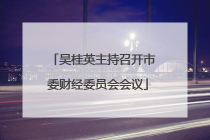吴桂英主持召开市委财经委员会会议