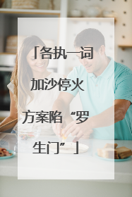 各执一词 加沙停火方案陷“罗生门”