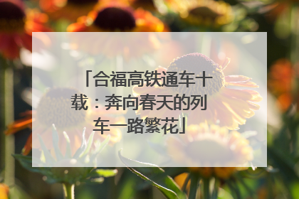 合福高铁通车十载：奔向春天的列车一路繁花