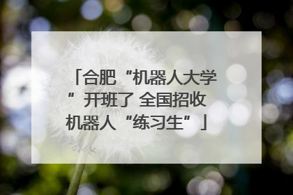 合肥“机器人大学”开班了 全国招收机器人“练习生”