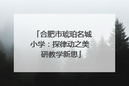 合肥市琥珀名城小学：探律动之美 研教学新思