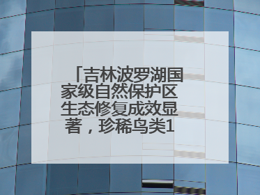 吉林波罗湖国家级自然保护区生态修复成效显著，珍稀鸟类10年增加5倍