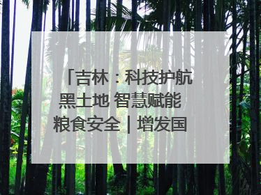 吉林：科技护航黑土地 智慧赋能粮食安全｜增发国债气象项目落地见效系列报道