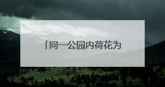 同一公园内荷花为何不同时盛开 业内人士：受多因素影响 属正常现象