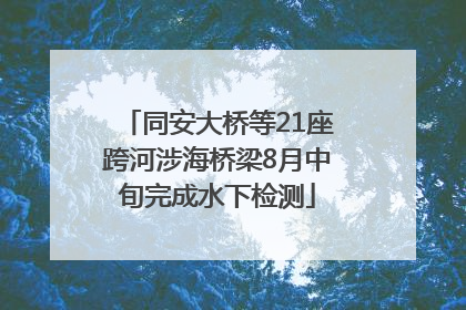 同安大桥等21座跨河涉海桥梁8月中旬完成水下检测