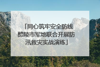 同心筑牢安全防线 醴陵市军地联合开展防汛救灾实战演练